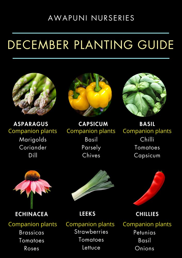 December